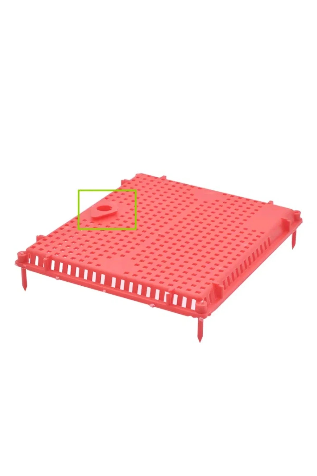 Queen Isolation Cage for Beekeeping