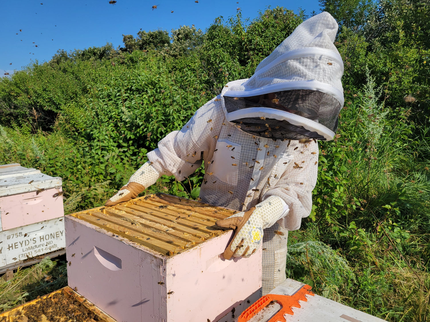 Can Beekeeping Suits Protect You From Bee Stings?