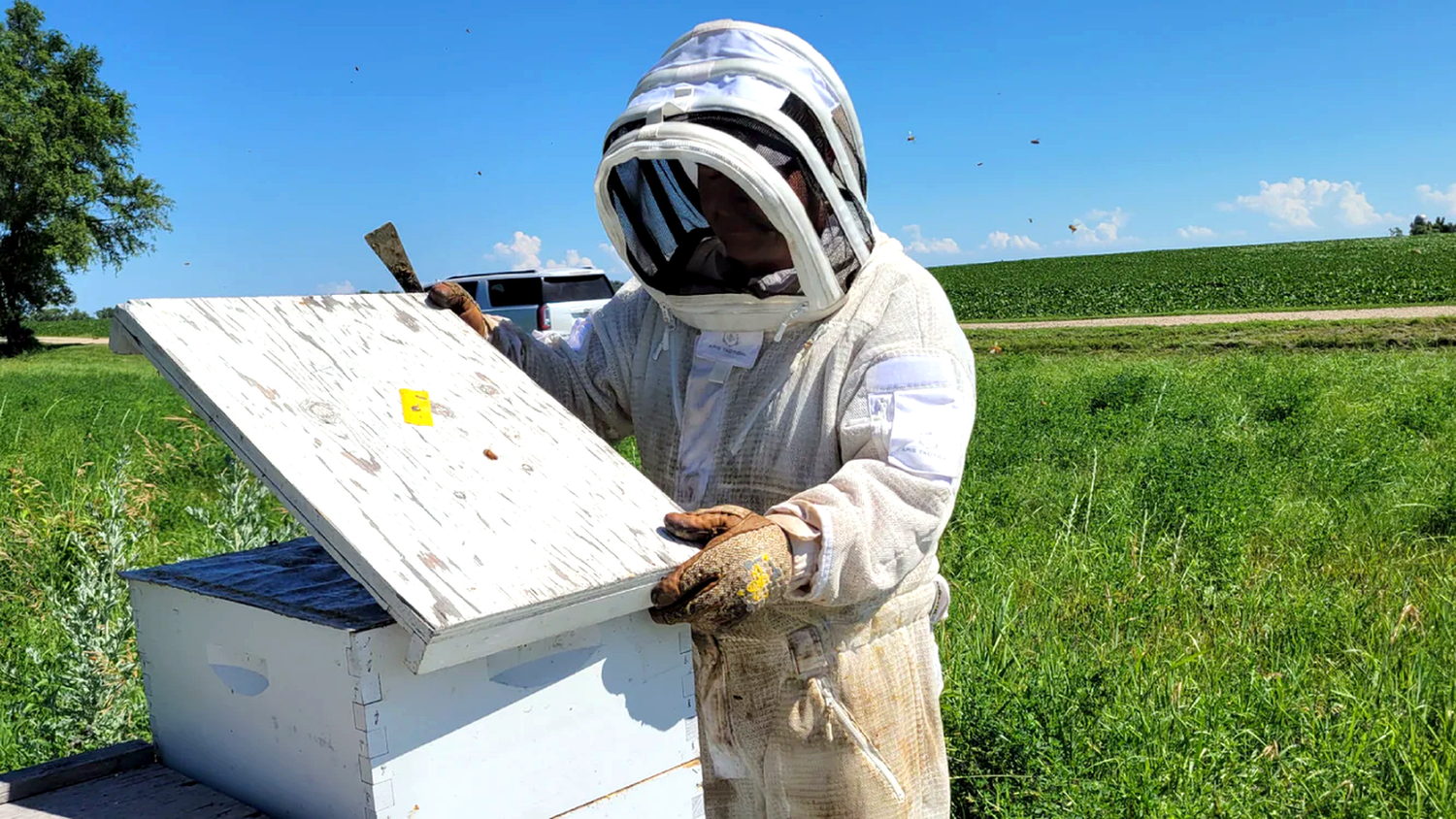 How to Choose the Best Beekeeping Suit for Bee Season | The Apiary Gear Guide