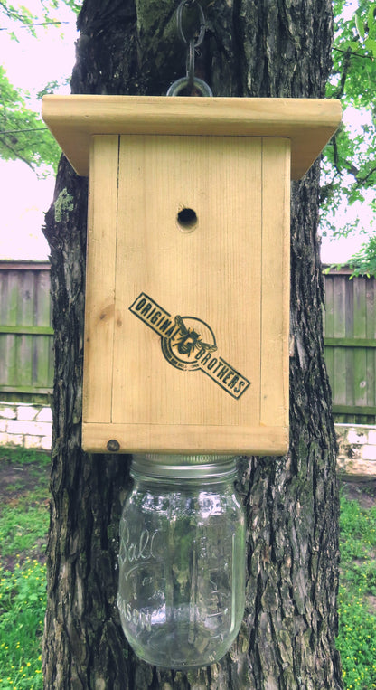 Carpenter Bee Trap