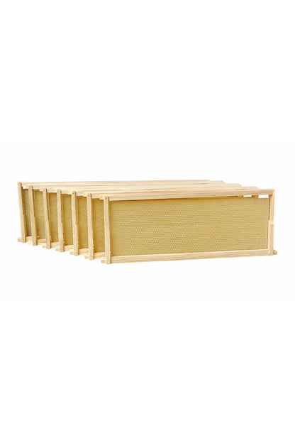 Ideal Half-Depth Wax-Embedded Beehive Frames – 20 or 100 Pack