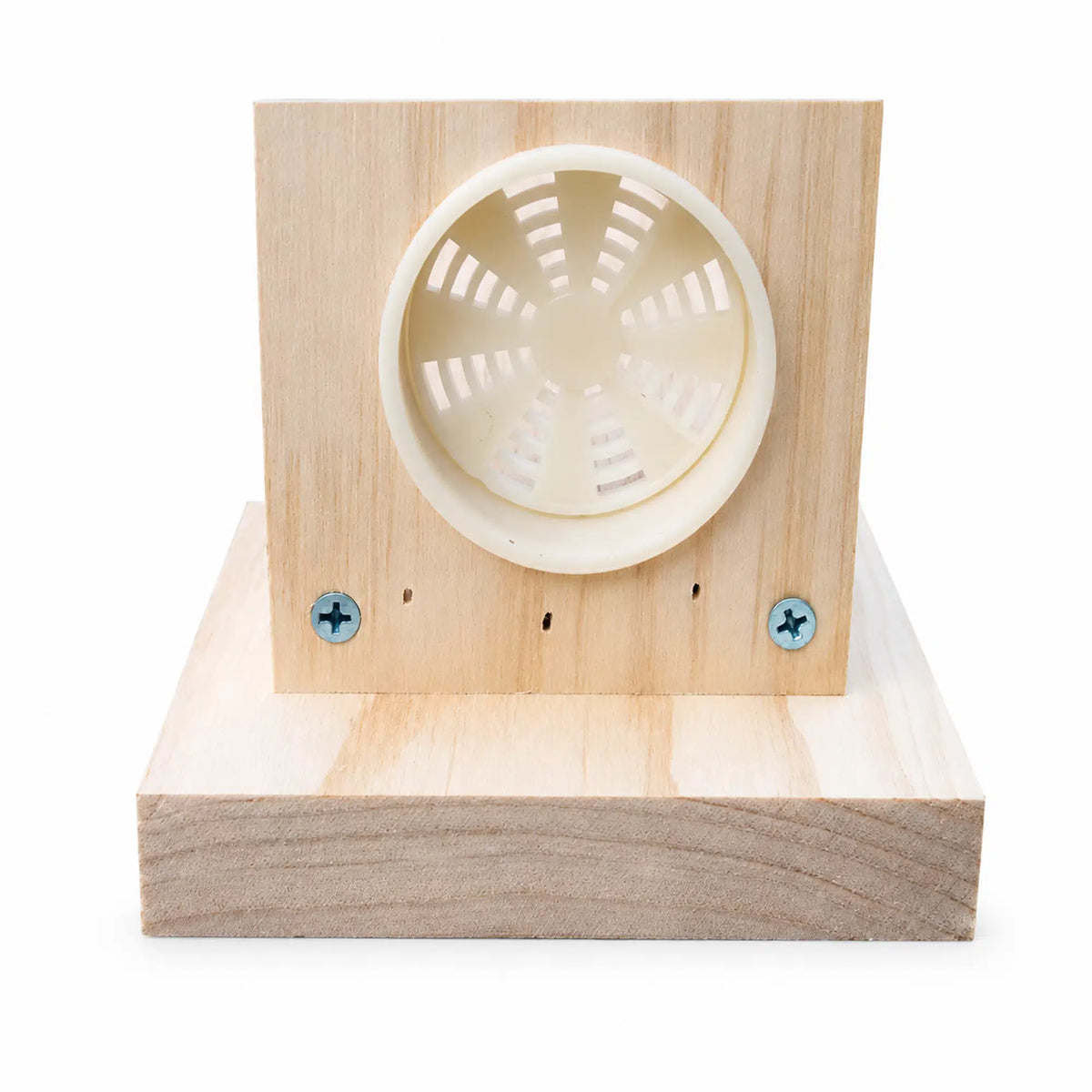 Single-Frame Observation Hive – Educational Bee Viewing Display