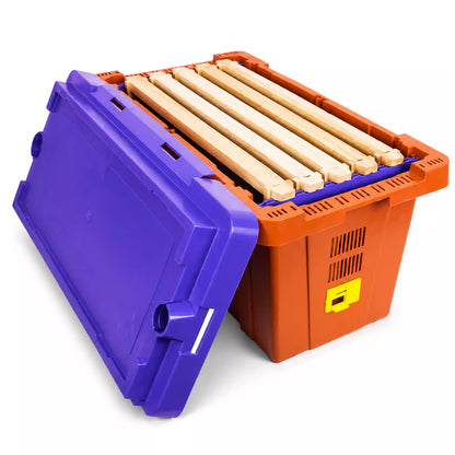 5-Frame Plastic Nuc Box with Locking Lid