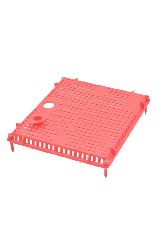 Queen Isolation Cage for Beekeeping