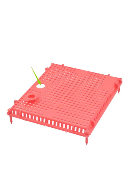 Queen Isolation Cage for Beekeeping