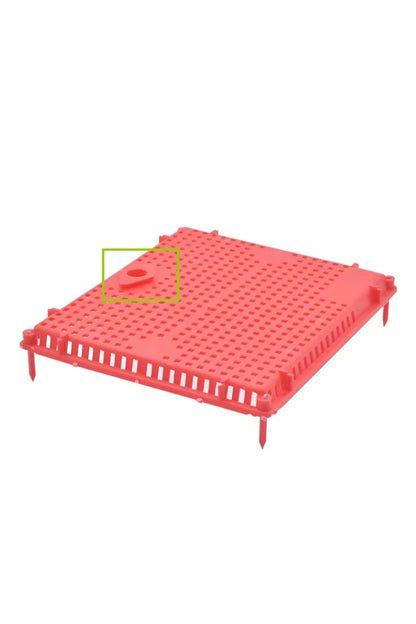 Queen Isolation Cage for Beekeeping